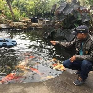 Meet your Posher, Manuel